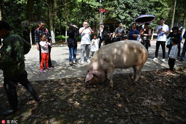 菲律宾发现新人类物种:距今超5万年,疑似人类近亲_云建站/云站群/小程序