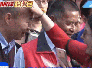 美艳的动物界