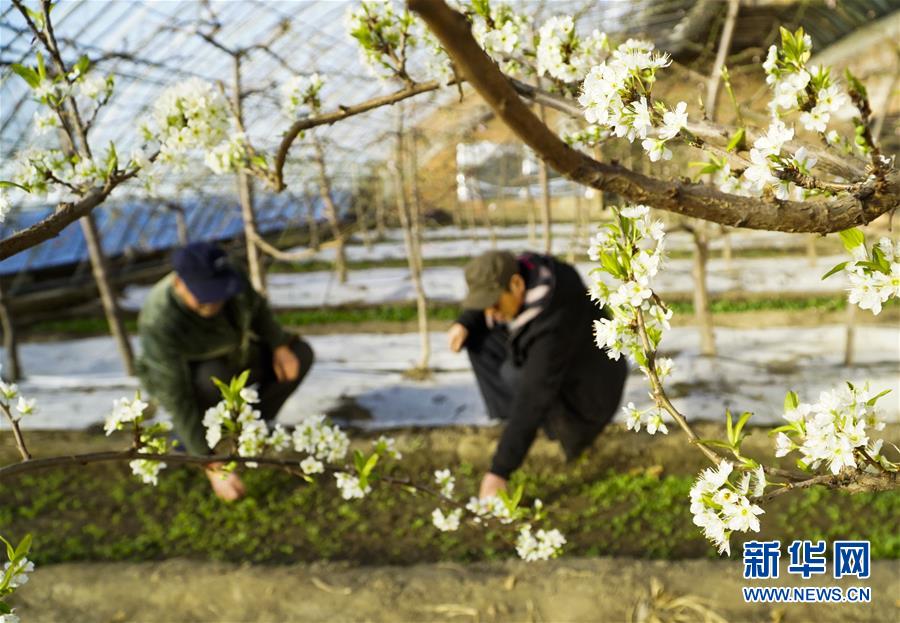 为什么缓解高血压需要吃这3种蔬菜，很多人都不知道原因