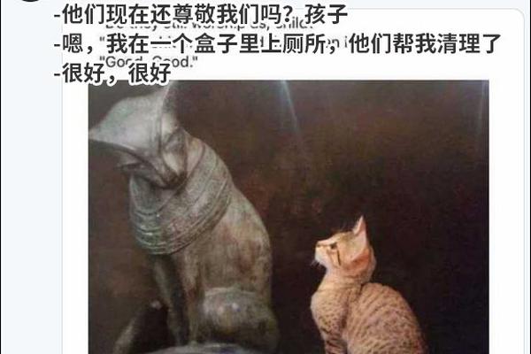 马龙胜瑞典黑马 夺世乒赛男单3连冠_9929日本VPS