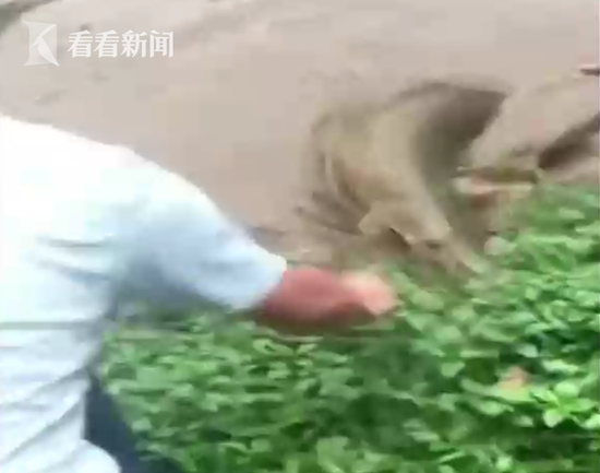 五一劳动节:李泌剧组化妆美绝了,李湘带王诗龄亲近大自然_阿里云服务器