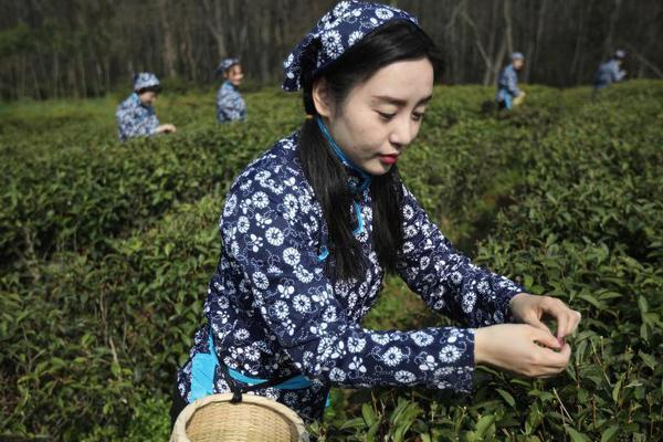 街拍奥迪新Q7:Q8同款八边形格栅_CUII云服务器