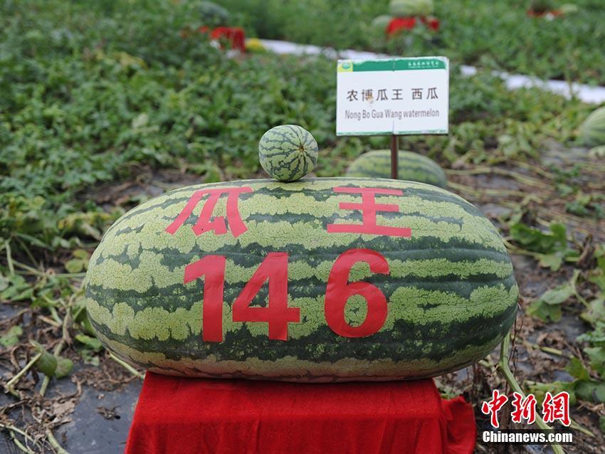 大盘将依生命线慢牛上行_虚拟桌面基础设施