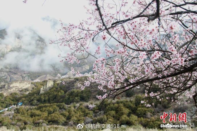 南谭北许：与许世友齐名的武林高手