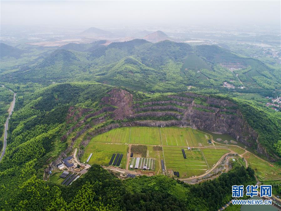 公司域名取消会影响自己网站吗_AS9929云服务器