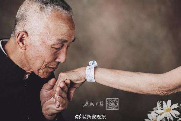 抄袭出的经典:荒野大镖客_好的云服务器提供商
