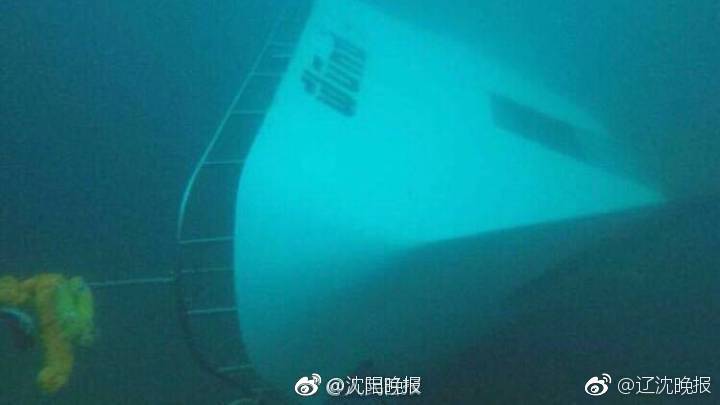 猫妈妈好心收养失去母亲小松鼠:相互依偎非常亲昵_挂机宝做网站