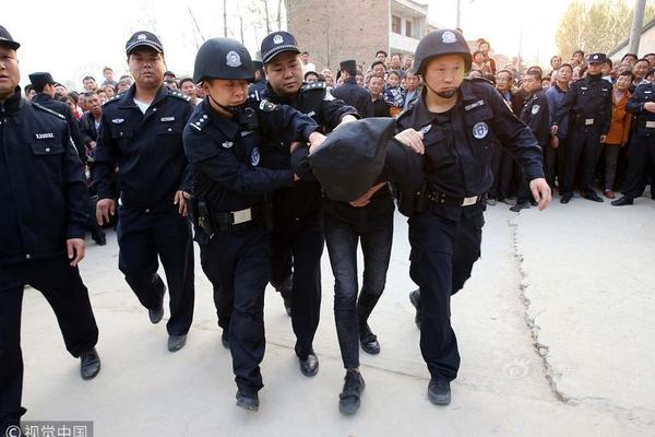 网页域名注册_网络知识