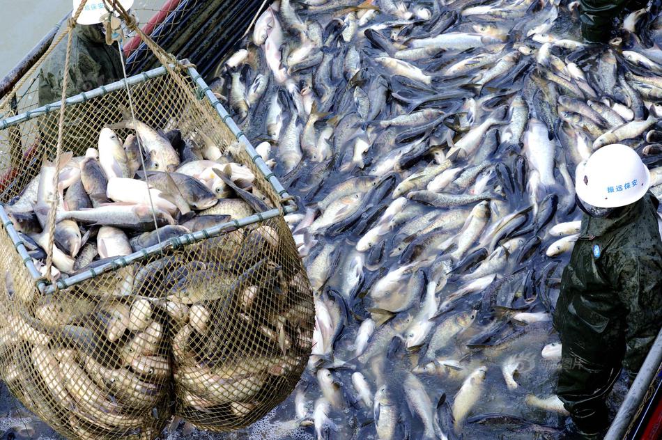 机器人进入手术室，悬壶济世的时代来临?_CN2服务器免费试用