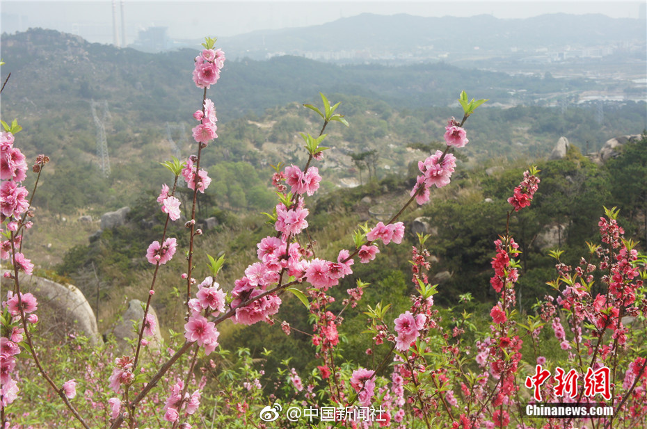 斯里兰卡总统：IS或已采取新策略 开始攻击小国_云电脑AI