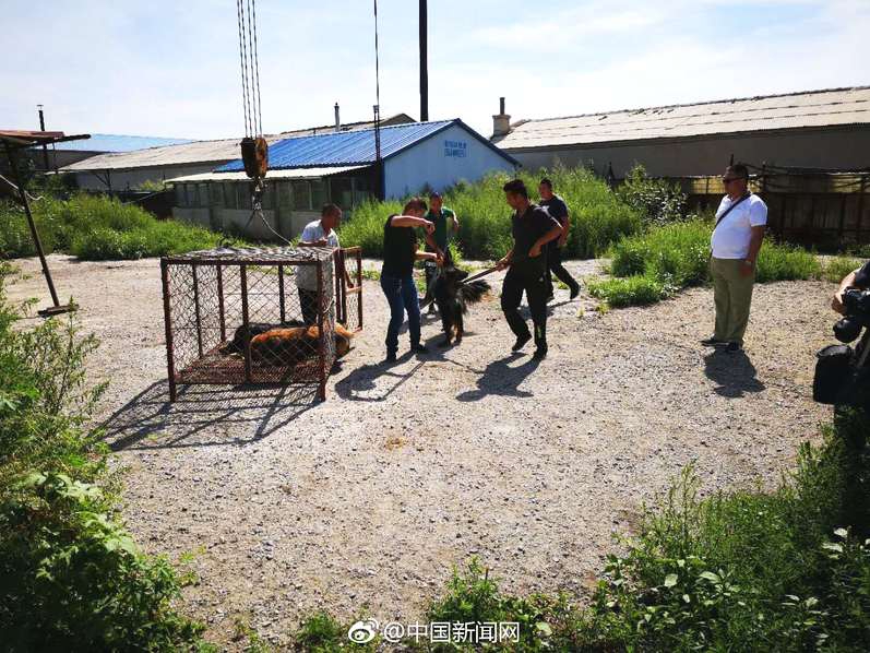 德国百年煤矿倒闭后，被改造成热门旅游景点，获评世界文化遗产_9929测评