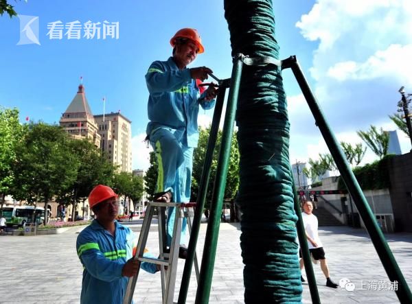 宝马全新7系