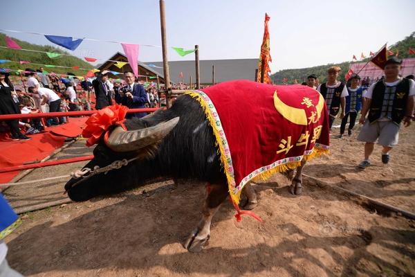这些星座的审美让人迷惑_华北云服务器