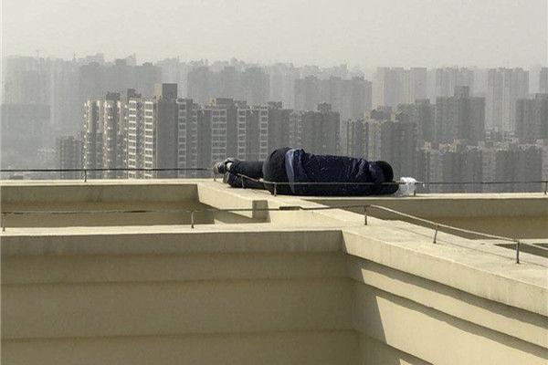 蜈蚣就这么瞬间被河豚吃了_CN2服务器视频会议