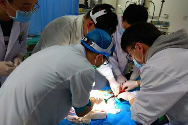 科创板基金销售大战打响 今日募集规模已超400亿_云电脑远程桌面