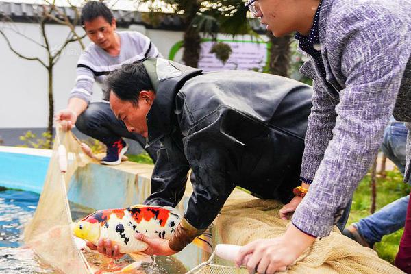 四川德阳一对老年夫妻死亡 警方正调查死因_CN2服务器跨境电商
