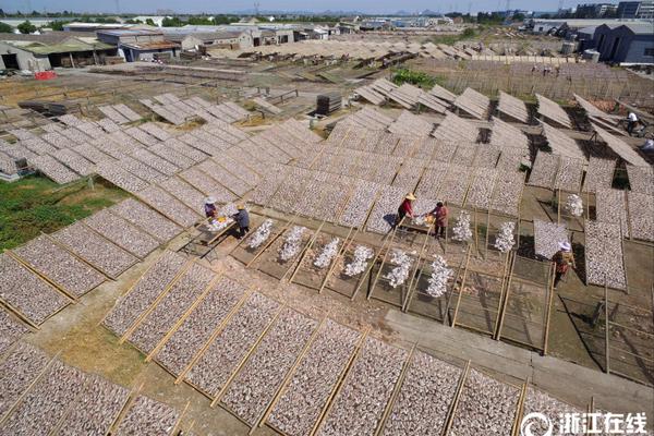 死去的宠物狗可以克隆"复活"吗?