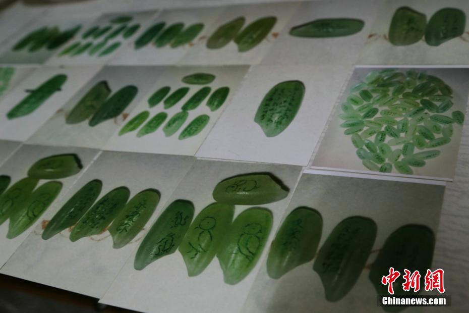 脱发?不存在的!44岁小贝代言腕表依旧帅到犯规_CN2服务器优惠