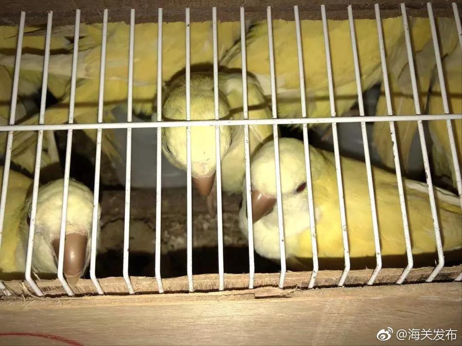 游戏义肢设定给玩家勇气_云电脑玩大型游戏