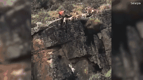 张国华:中国广告人需关注创意和内容_挂机宝挂微信