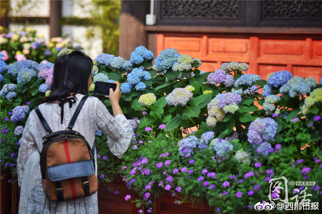 双一流高校漫步：中国科学技术大学_挂机宝开发环境