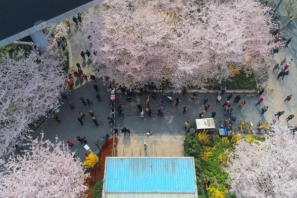 焚烧圆明园的除英军还有这些"家贼"_国内有哪些云服务器的提供商