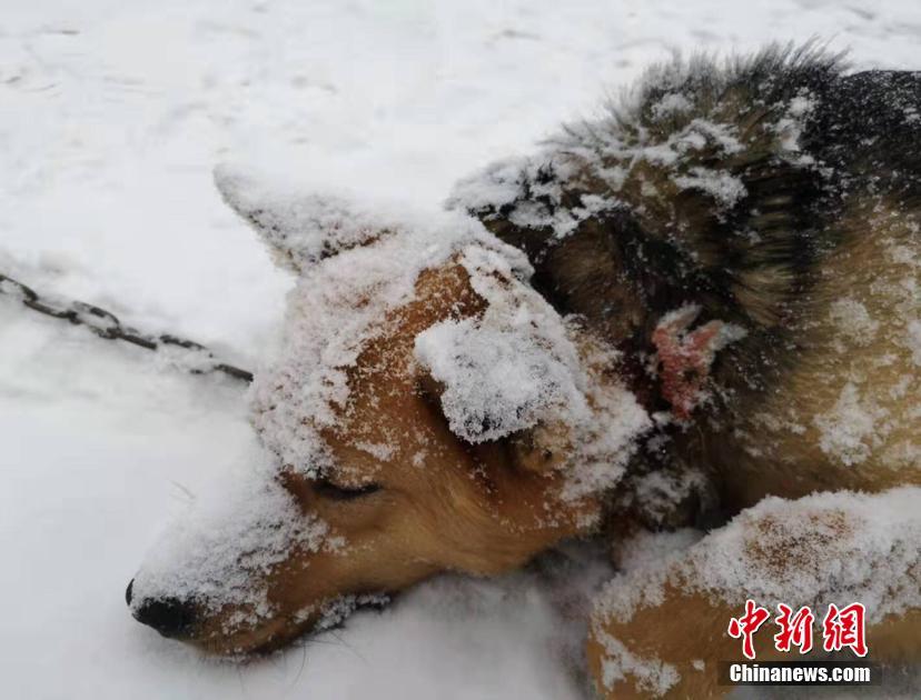 公司域名可以收邮件吗_云桌面