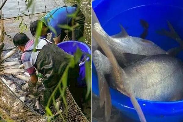 特种兵四年前救下蜂鸟 结下春天的约定_便宜挂机宝