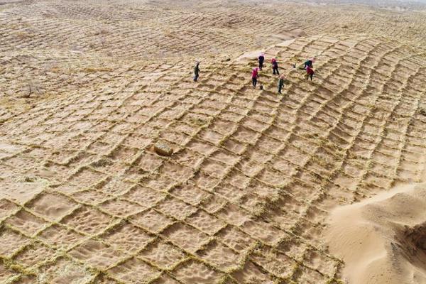 裁判承认漏吹4次三分犯规! 火箭12分就没了?_挂机宝美国