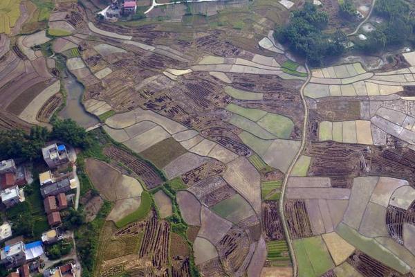 莆田系涉医诈骗案曝光_云电脑上班族