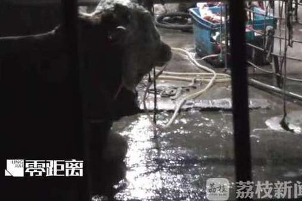 成都市长罗强演唱《我爱你 中国》被赞“帕瓦罗强”_CN2服务器延迟