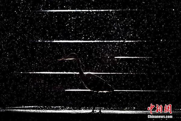 怀孕狂魔6年生4娃送人:我喜欢生,不想养!_CN2服务器购买