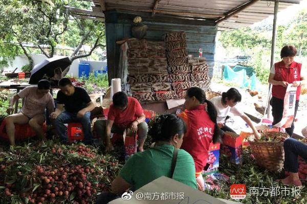 该给百天宝宝牙齿补充氟化物？_9929低延迟VPS