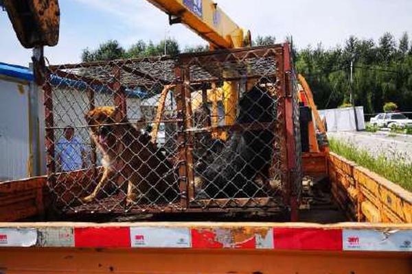 如何设置院校梯度才合理?_云电脑客服多开