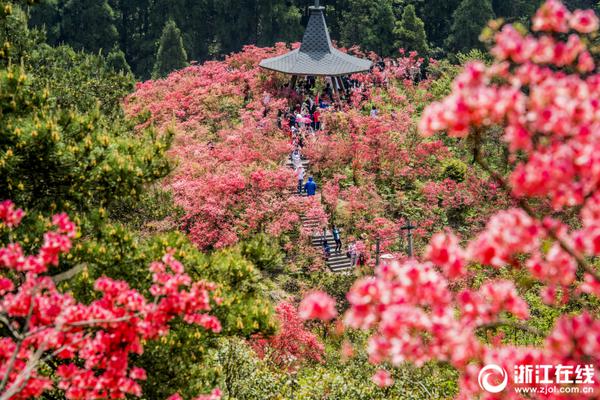 老乐:大反弹说来就来_云电脑快速上手