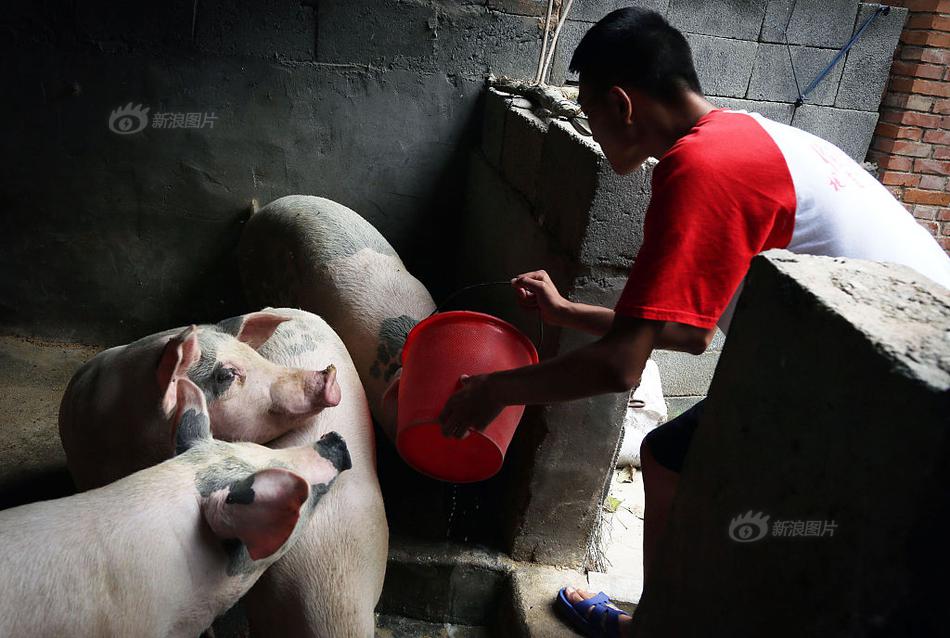 成为了横扫三国的东方铁骑_CN2 OA服务器