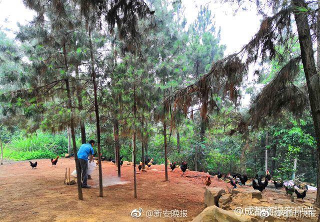 你够吗?一线城市90后期望月薪达1.3万_云电脑手机连接电视