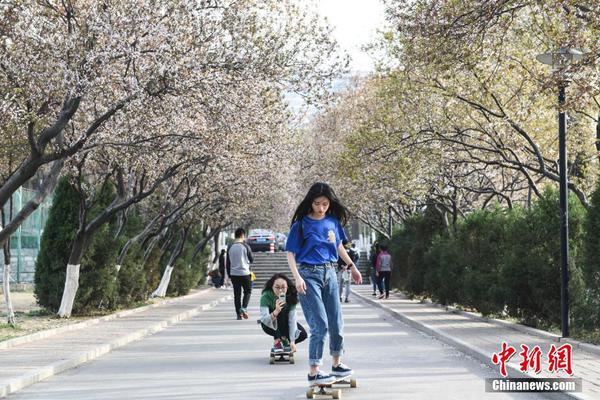 成都海关截获价值上千万濒危鱼鱼鳔_云电脑安全办公
