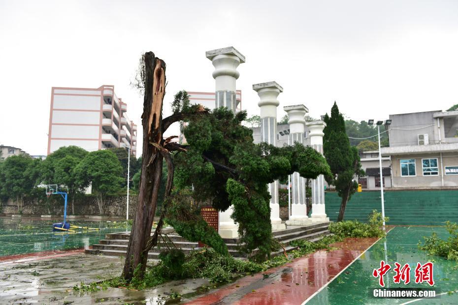 免费送:千兆美国网件路由器_CN2服务器SSD硬盘