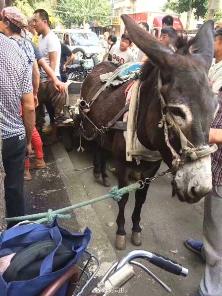发布网站必须要绑定域名吗_9929代码仓库