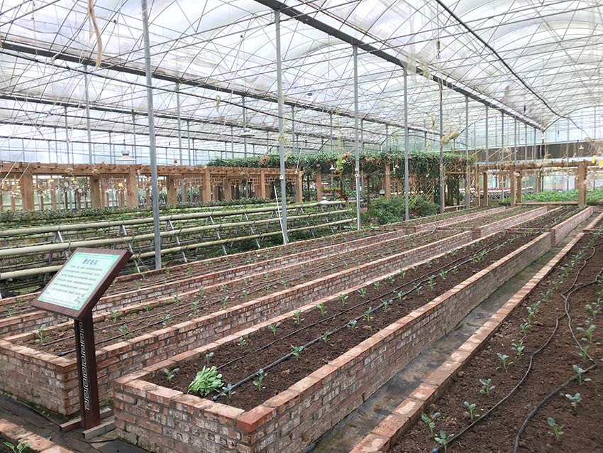 冷兵器时代的各国骑兵鉴赏_虚拟机挂机宝