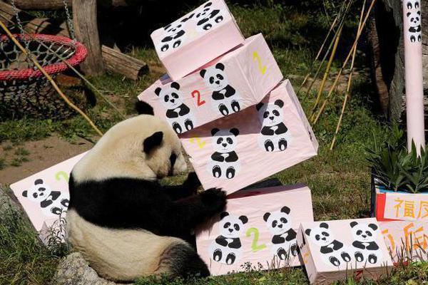 高尔夫中国公开赛深圳开杆 总奖金2000万李昊桐领衔出战_挂机宝多开