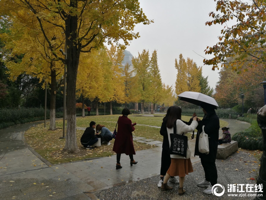 王中磊夫妇为儿子庆生 威廉弟弟长高了许多_C86云服务器
