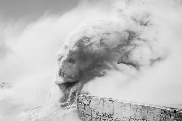 高福、颜宁、锁志刚等华人科学家入选美国科学院院士_挂机宝亚马逊