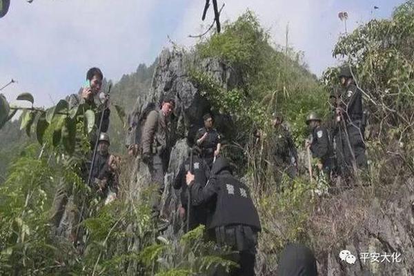 七旬夫妻养猪开垦撂荒地种30亩丹参，守着大山也要把日子过红火_9929网络稳定性