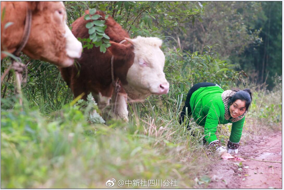 4月北上资金净流出180亿 QFII最新出逃股名单曝光_成都云服务器