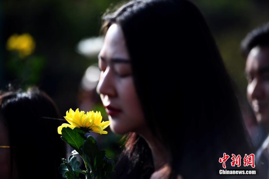 杨幂的小细腿穿单车裤似竹竿 被欧美女星秒杀_南京云服务器