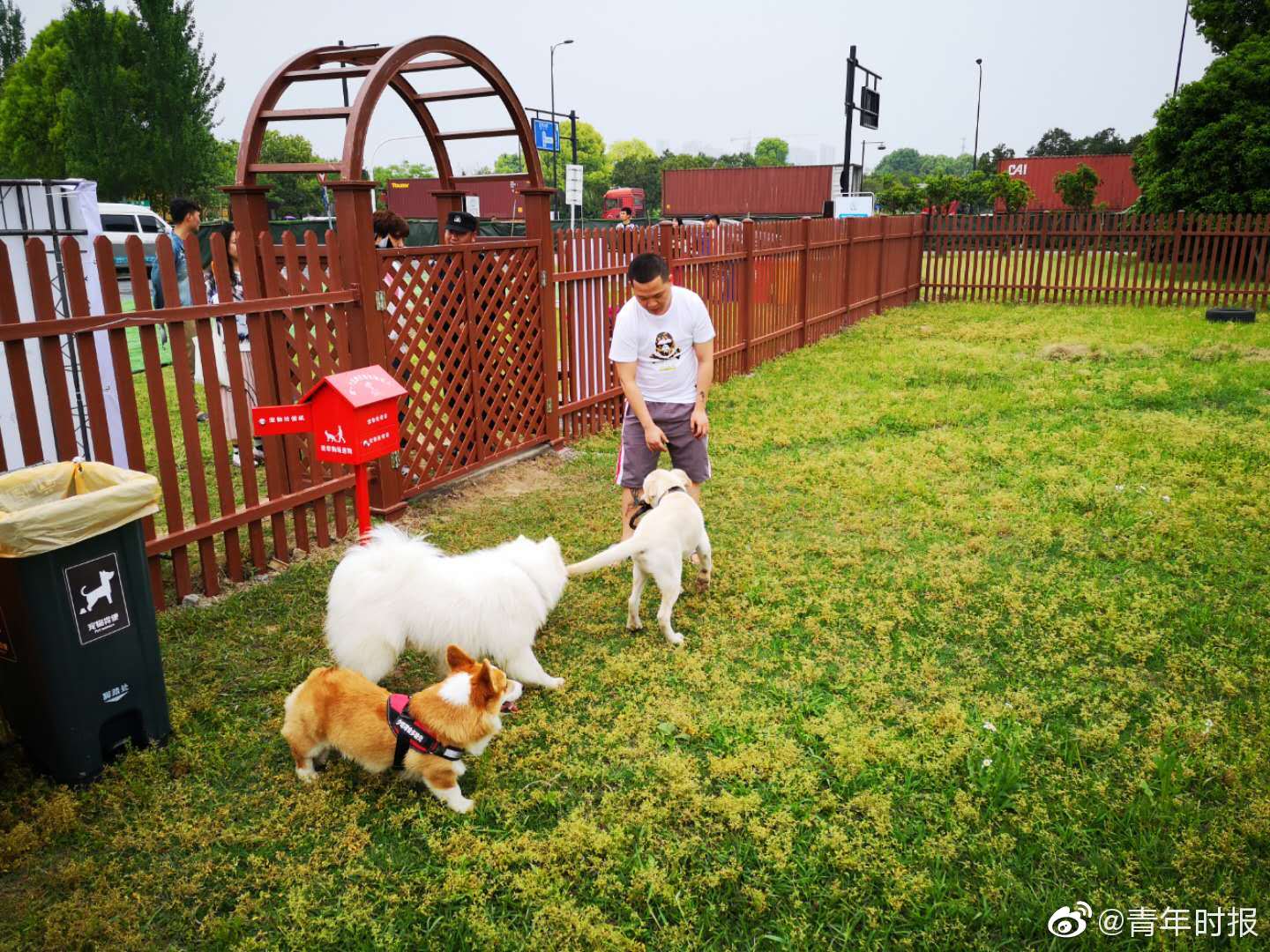 意象江南聚中国美术史现代艺术大家作品_政务云服务器