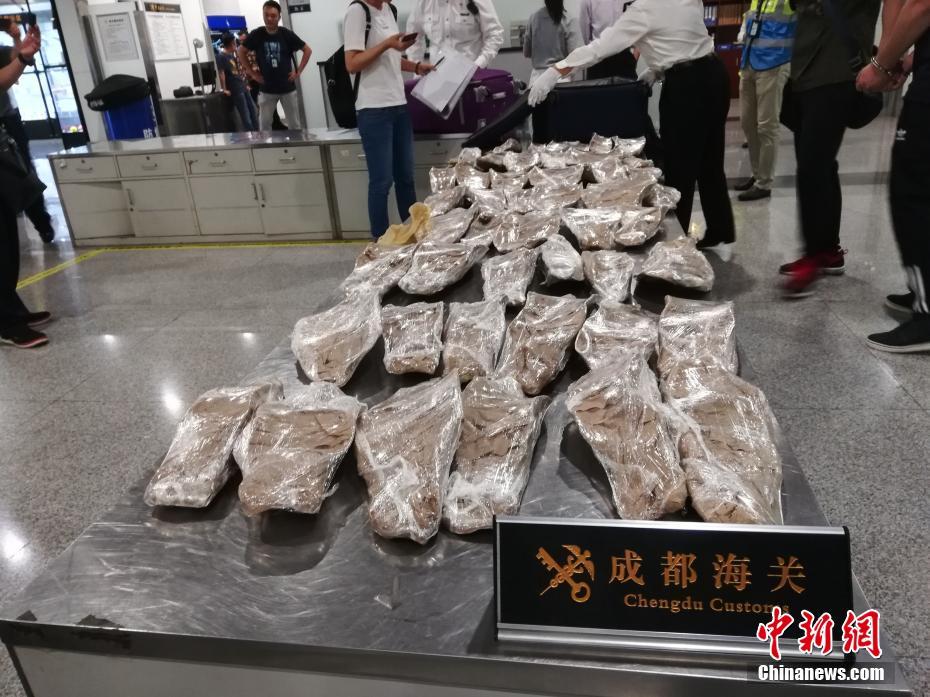 王健林:大连足球必重返亚洲一流 正建专业足球场_香港CN2服务器推荐