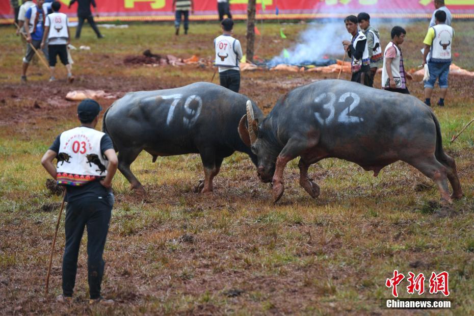 小学副校长课间带头跳鬼步舞_金山云服务器